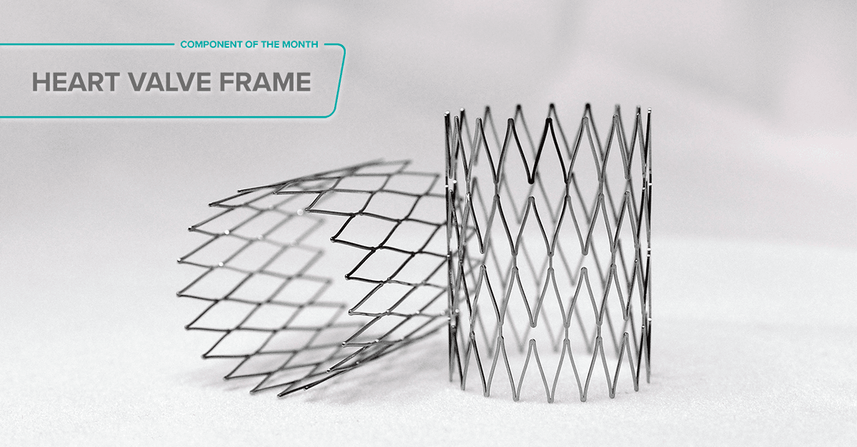 Heart Valve Frames